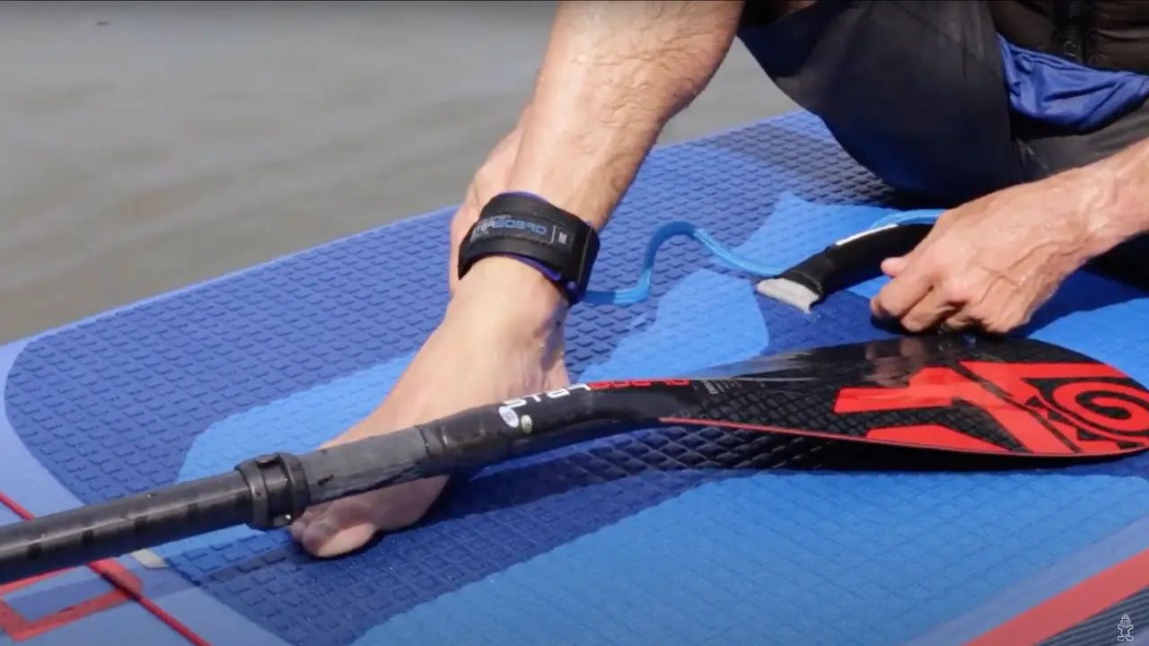 Blue and red paddle board leash with black strap for foot securing