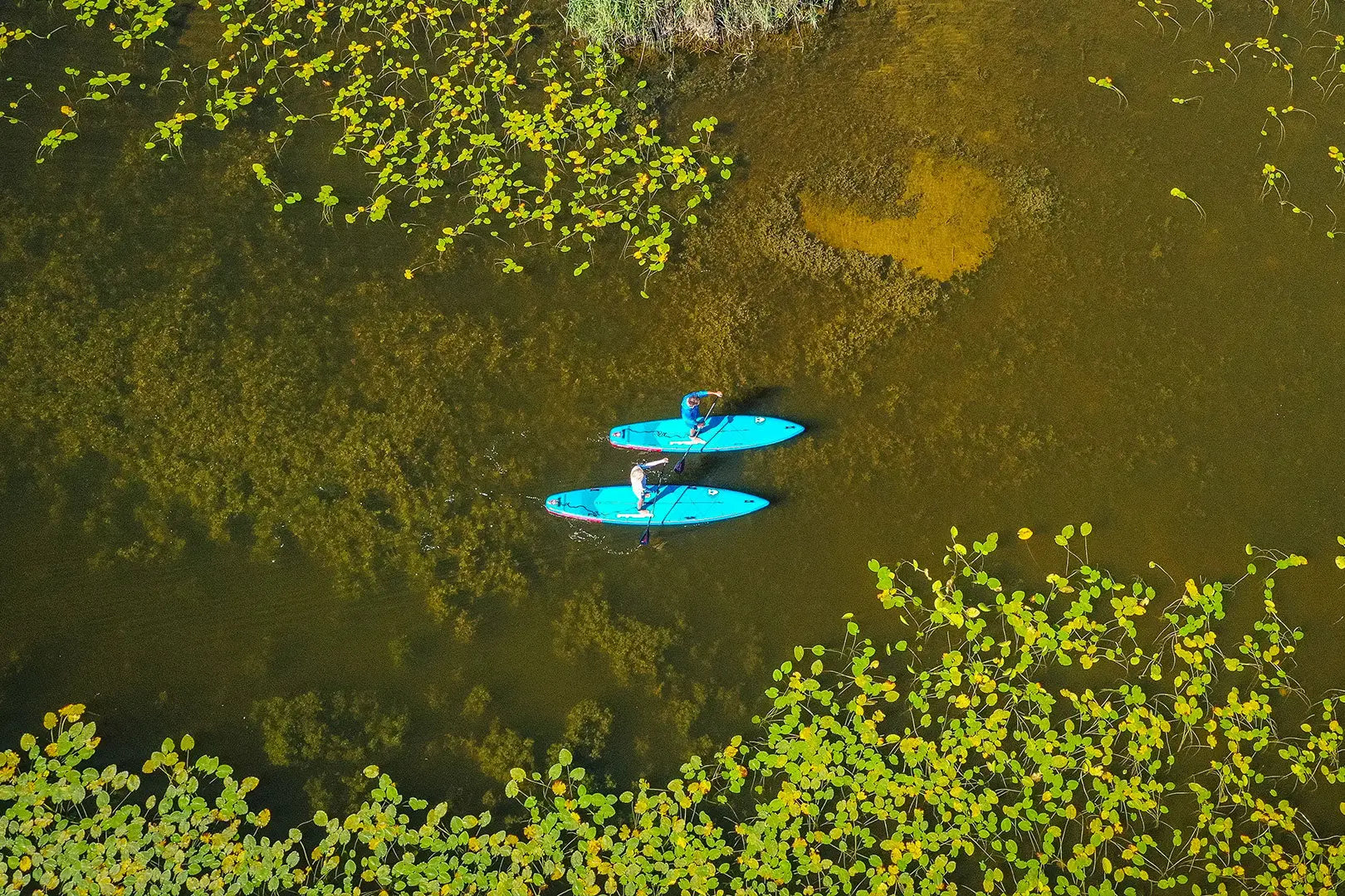 Blue paddleboard with teal seat and black fins for water activities