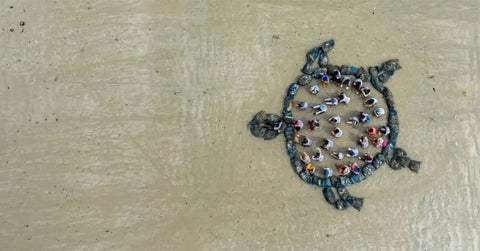 Press Release: iQFOiL Windsurfing Class debuts at the Paris 2024 Olympic Games and leads the Olympic sustainability