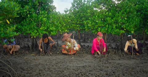 Press Release: iQFOiL Windsurfing Class debuts at the Paris 2024 Olympic Games and leads the Olympic sustainability