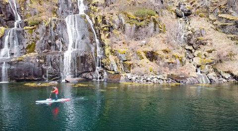 Exploring the Majestic Fjords and Wildlife of Lofoten Norway