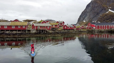 Exploring the Majestic Fjords and Wildlife of Lofoten Norway