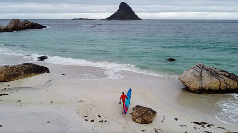 Exploring the Majestic Fjords and Wildlife of Lofoten Norway