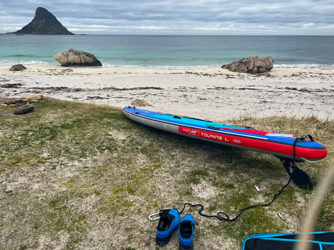 Exploring the Majestic Fjords and Wildlife of Lofoten Norway