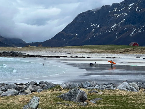 Exploring the Majestic Fjords and Wildlife of Lofoten Norway