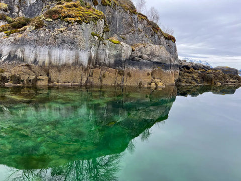 Exploring the Majestic Fjords and Wildlife of Lofoten Norway