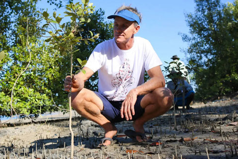 Starboard Wings Gallery 15