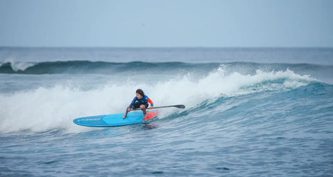 Starboard Announces 2024 Dream Team!