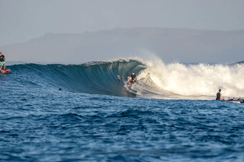 The Starboard Spice is Heating Things Up in Indo 🔥
