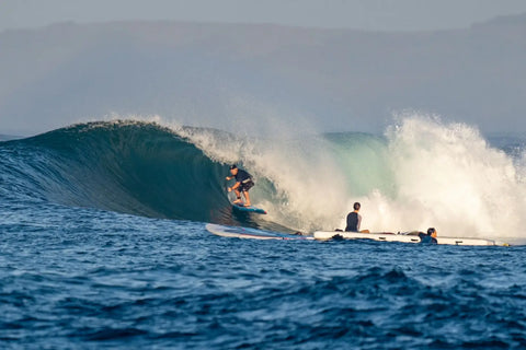 The Starboard Spice is Heating Things Up in Indo 🔥
