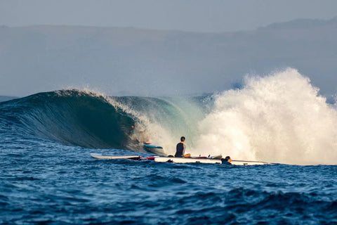 The Starboard Spice is Heating Things Up in Indo 🔥