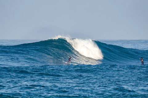 The Starboard Spice is Heating Things Up in Indo 🔥