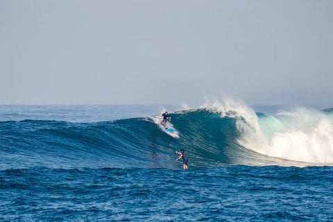 The Starboard Spice is Heating Things Up in Indo 🔥