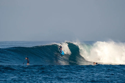 The Starboard Spice is Heating Things Up in Indo 🔥