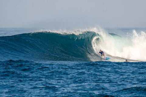 The Starboard Spice is Heating Things Up in Indo 🔥