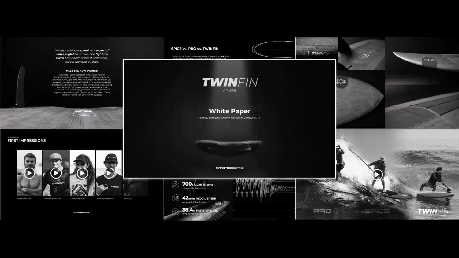 TwinFin Whitepaper