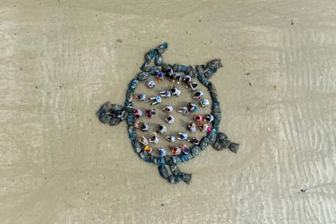 Starboard Wings Gallery 16