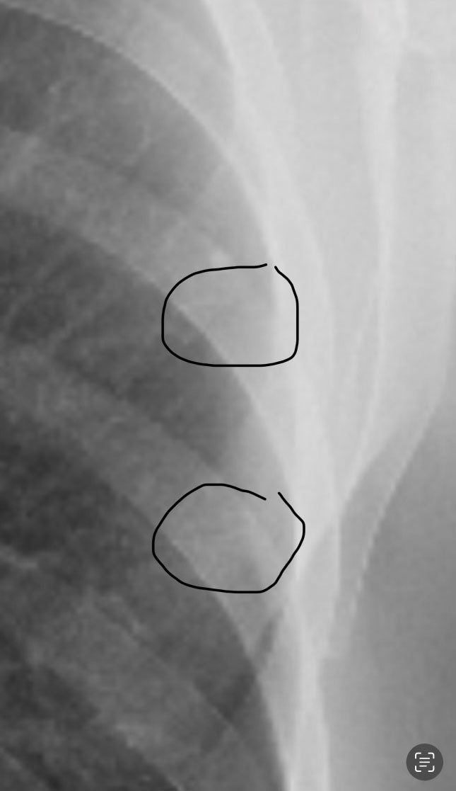 OSS Race Stop #2 Niagara Classic “Battle at the Boarder”