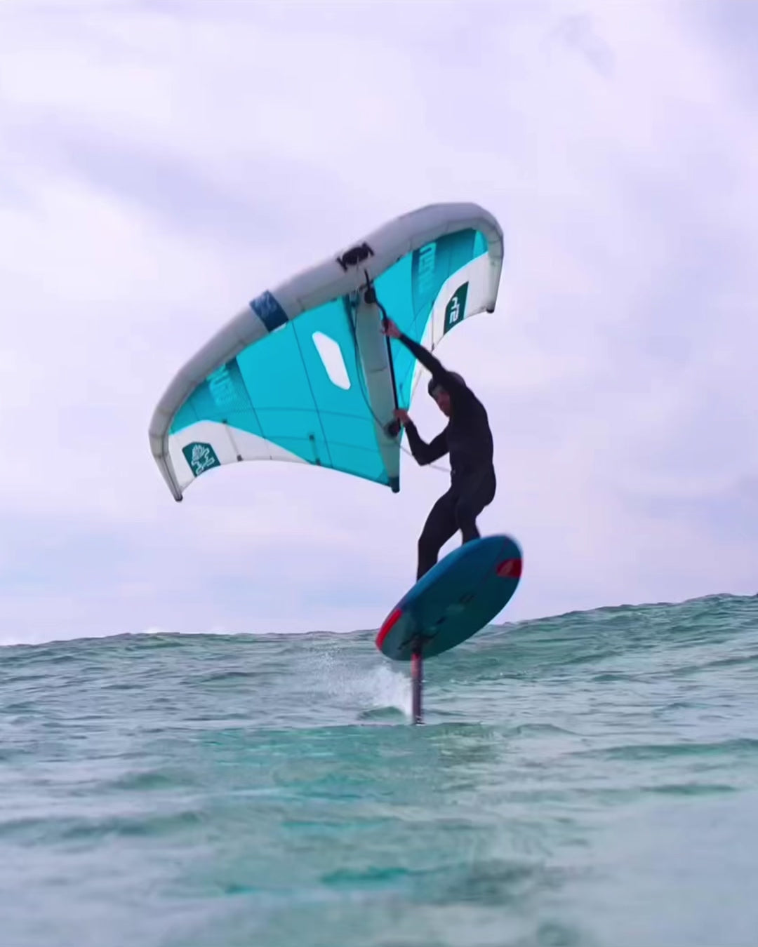 Starboard Viva Wing - Lightweight All-Round Freeride Wing