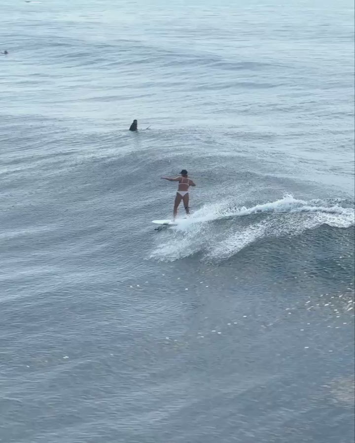 Longboard Surf – Starboard